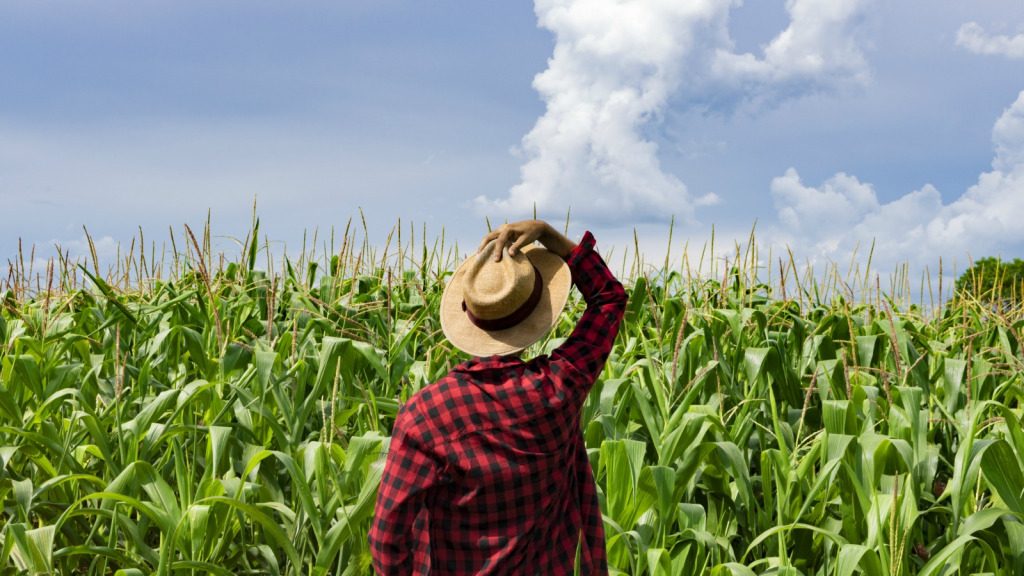 Agricultor